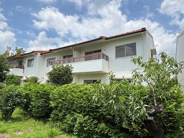 外観：313004333446