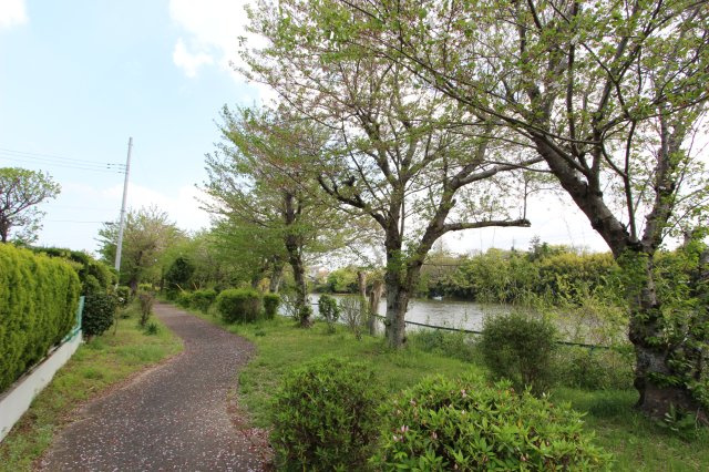 敷地南側は桜並木の遊歩道・川を望む立地・お散歩にピッタリですね！