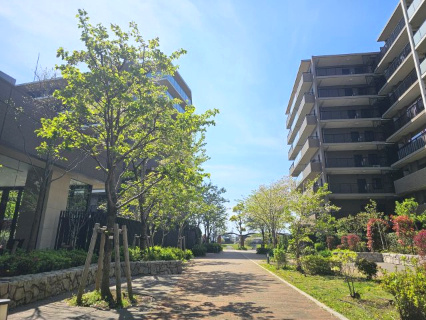 敷地の東側遊歩道は、四季折々の花を咲かせ、季節の移り変わりを楽しめる空間が演出されている「シンフォニーアベニュー」本物件住戸からいつでも眺めることが可能です。