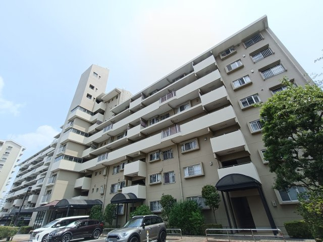 外観：313004847376