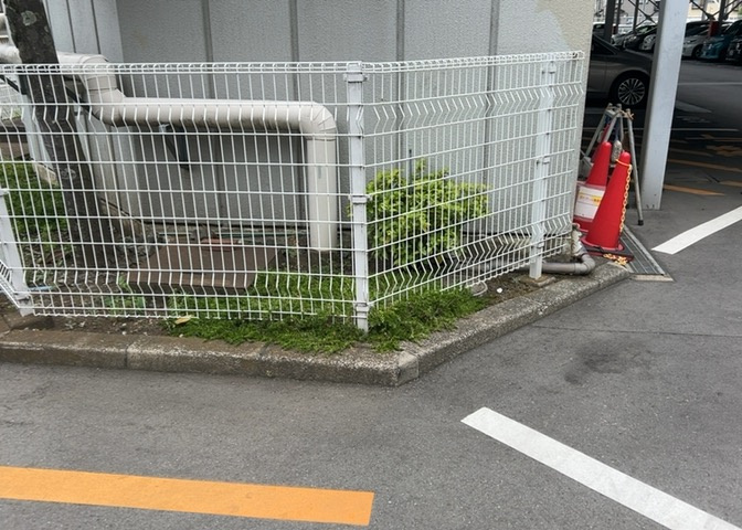 建物敷地内の共用スペースには植栽が整備されており、整然とした雰囲気が保たれています。1987年築のSRC造10階建てマンションとして、巡回管理による適切な管理が行われている様子をご確認いただけます。