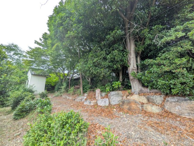 奥側の土地の様子です。現在は緑豊かな植栽が至るところに植わっています。