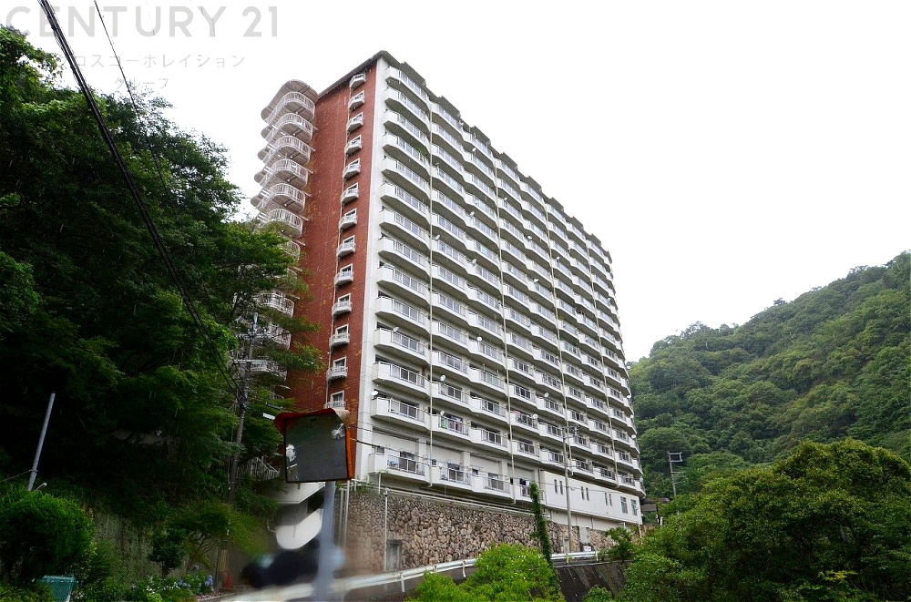 外観：328000626434