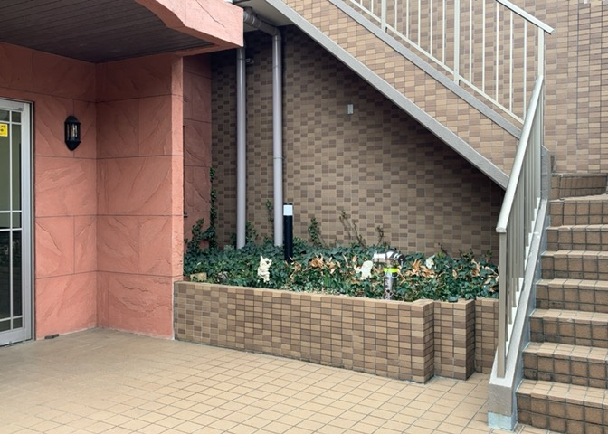 中庭（パティオ）とは、一つの建築物の内部に設けられた、壁などで囲われている庭のことを指します。コの字型、ロの字型が主流ですが、L字型の中庭もあります。最近では、インテリア性の高さからも人気があります。