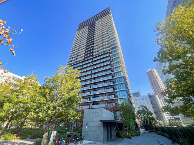 外観：313004669215