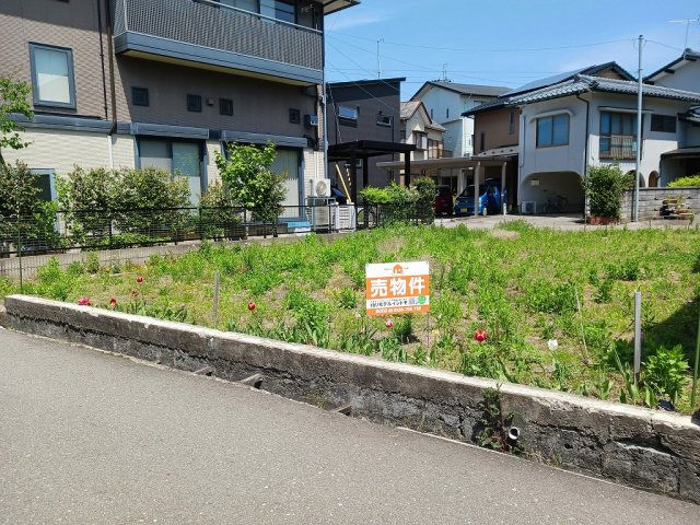 外観：317000011518