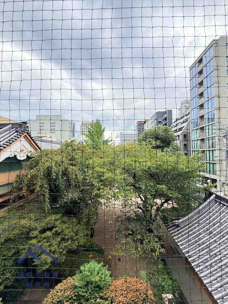展望