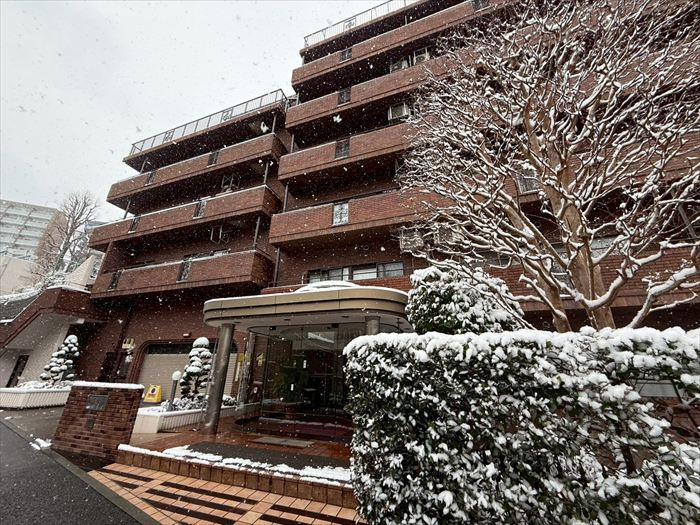 外観：313004692683