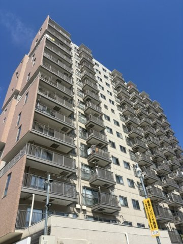 外観：313004886439