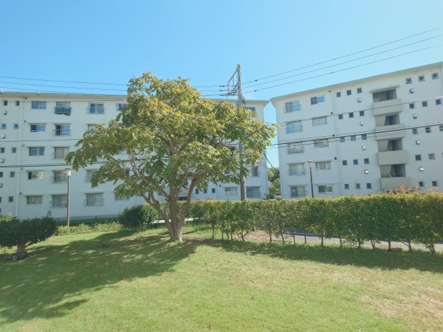 緑豊かな住環境♪