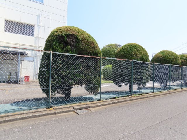 展望