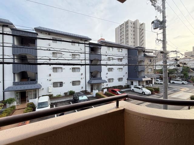 展望