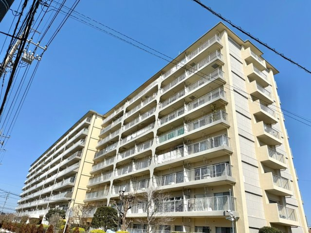 外観：311002462890