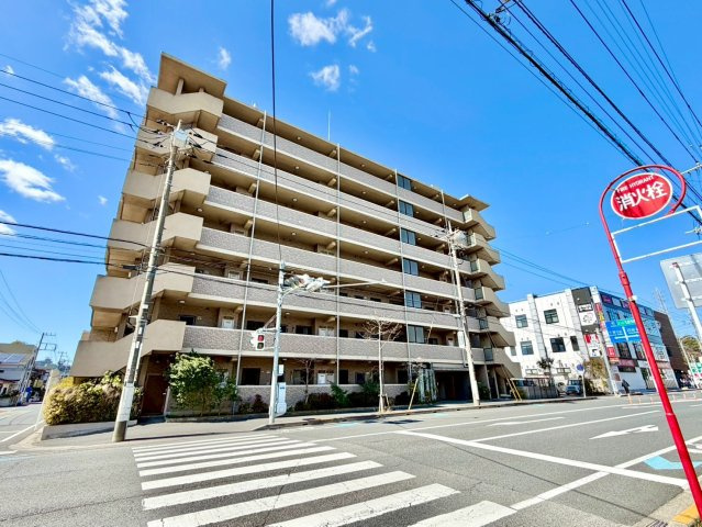 外観：312001205587