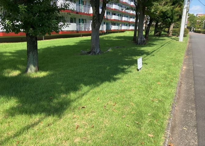 物件によっては、入居者が個人的に使用できる専用庭がついているものもあります。また、住宅の中にある土間の部分を庭と呼ぶこともあります。庭の用途は住む人によって変わり、それによってデザインもさまざまです。