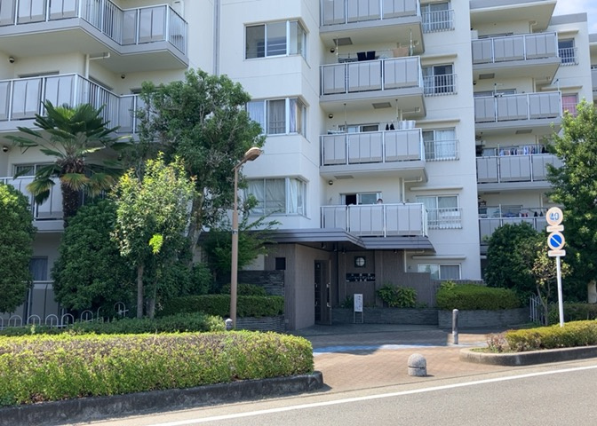 外観：314002381845