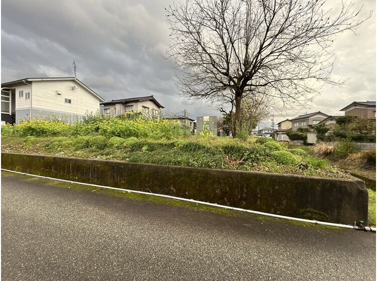 現地