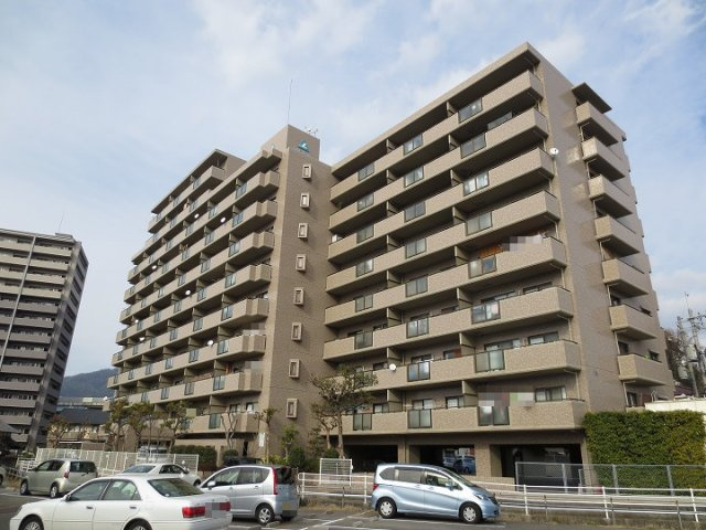 外観：334000229471