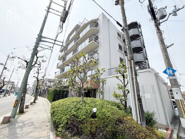 外観：328000624805