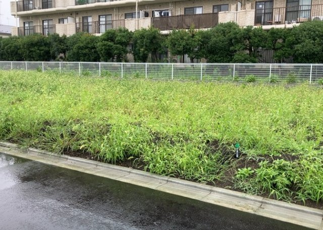 土地探しをしていると都市計画区域という言葉を目にすると思います。法律によって、都道府県知事や国土交通大臣が指定するエリアのことを指しており、都市計画区域は市街化区域と市街化調整区域に分けられています。