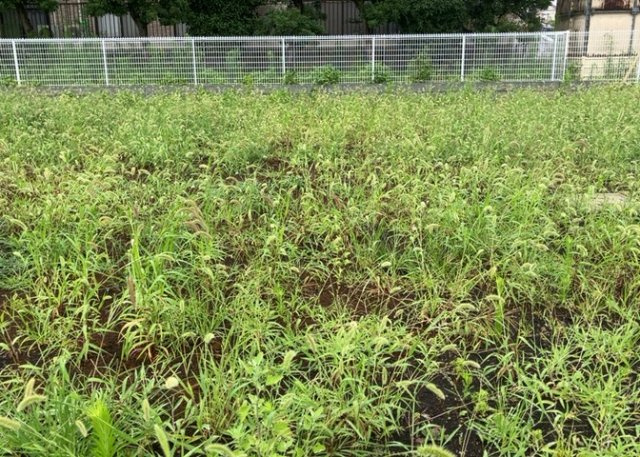 物件の詳細については、現地を見てわかること以外に、役所や法務局などで調べないとわからないことがあります。そのため、現地に行く場合は、もしこの物件を買ったらどのような生活ができるかをイメージしましょう。