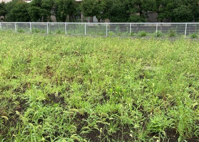 隣家の土地はどうなっているのか、生活利便施設が近くにあるのか、学校まで近いかなど、お客様のライフスタイルにあわせたイメージが重要です。また、近くにあると困る施設が近くにないかも確認するといいでしょう。