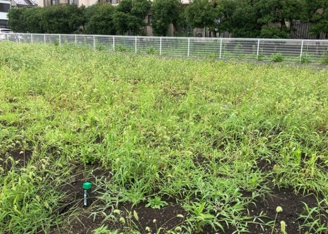 土地購入を検討されている場合、境界杭がない状態で購入してしまうと境界確定測量をする必要があり、費用がかかります。購入の前に、売主、隣土地所有者立ち合いのもと境界を確定し境界杭を設置するのがベストです。