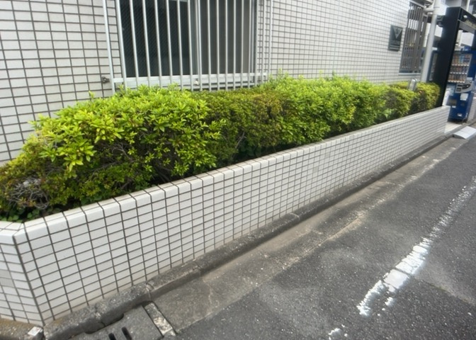 物件によっては、入居者が個人的に使用できる専用庭がついているものもあります。また、住宅の中にある土間の部分を庭と呼ぶこともあります。庭の用途は住む人によって変わり、それによってデザインもさまざまです。