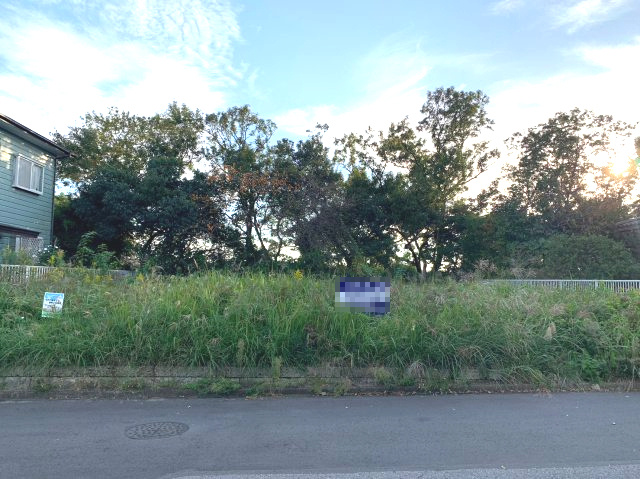 外観：312000952462