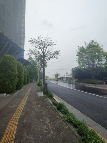 【前面道路】