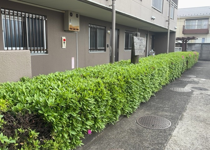 物件によっては、入居者が個人的に使用できる専用庭がついているものもあります。また、住宅の中にある土間の部分を庭と呼ぶこともあります。庭の用途は住む人によって変わり、それによってデザインもさまざまです。