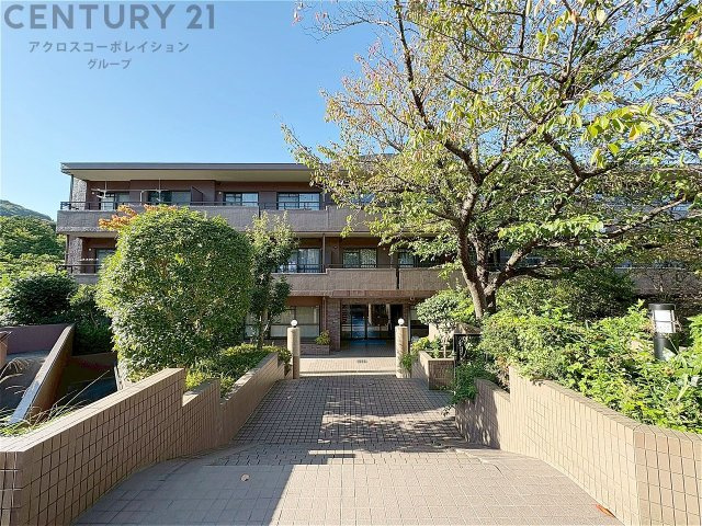 外観：328000590565