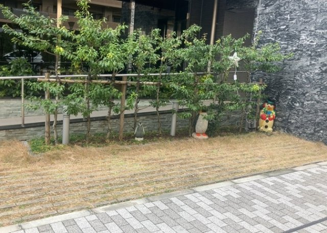 物件によっては、入居者が個人的に使用できる専用庭がついているものもあります。また、住宅の中にある土間の部分を庭と呼ぶこともあります。庭の用途は住む人によって変わり、それによってデザインもさまざまです。