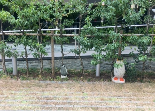 中庭（パティオ）とは、一つの建築物の内部に設けられた、壁などで囲われている庭のことを指します。コの字型、ロの字型が主流ですが、L字型の中庭もあります。最近では、インテリア性の高さからも人気があります。