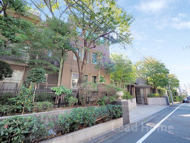 外観：313004533049