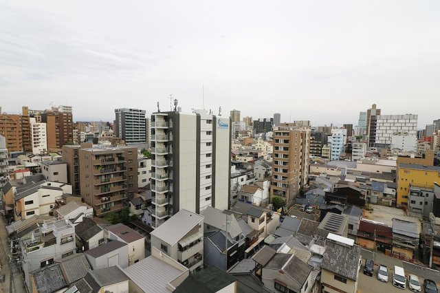 展望