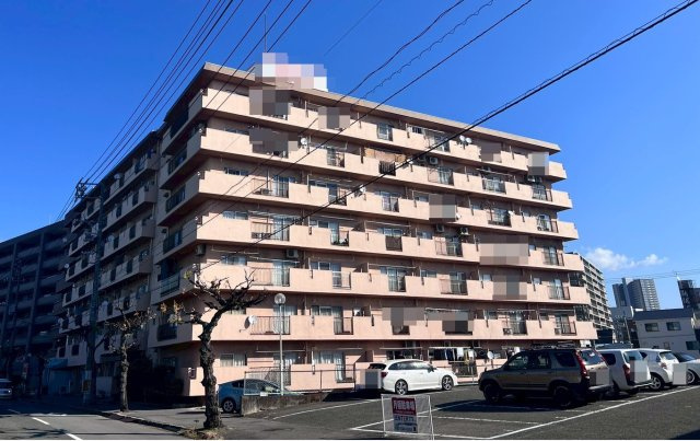 外観：334000239809