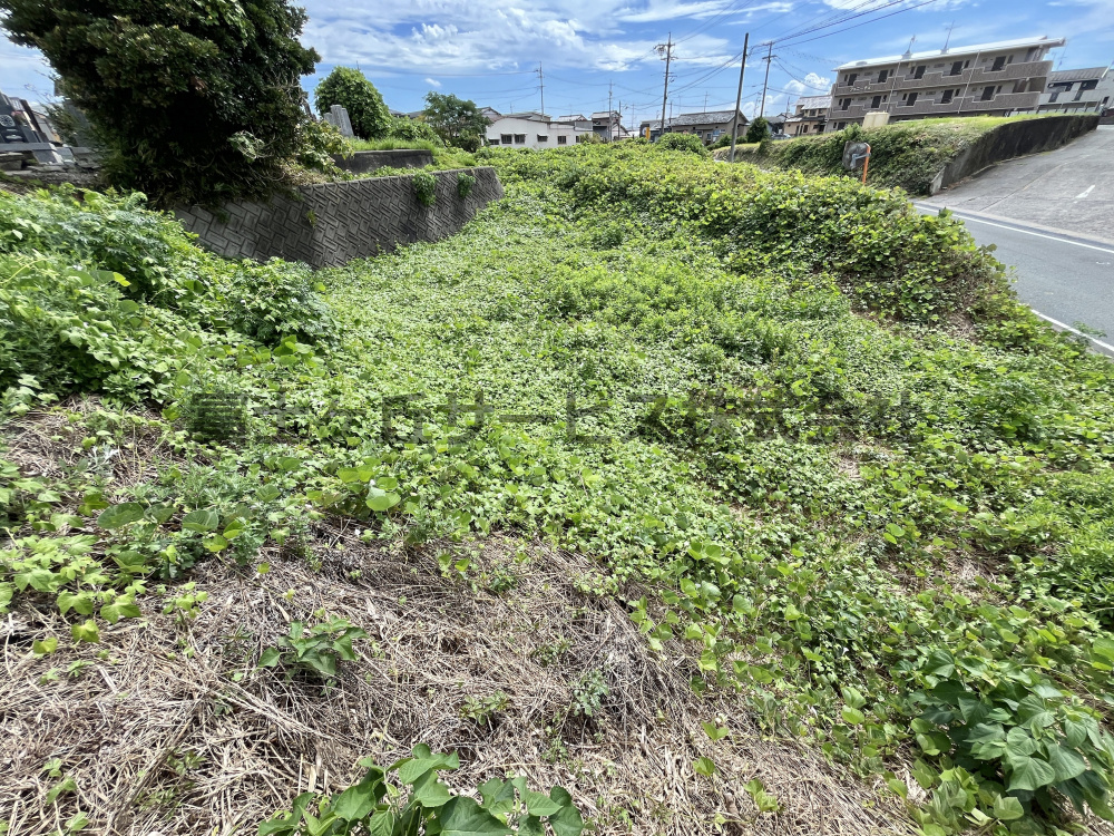 454？(137.33坪)