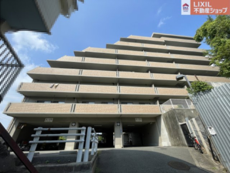 現地撮影。ぜひご見学ください♪