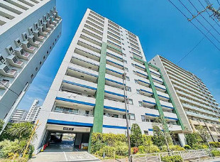 外観：313004693186