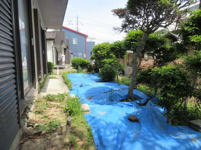 庭
