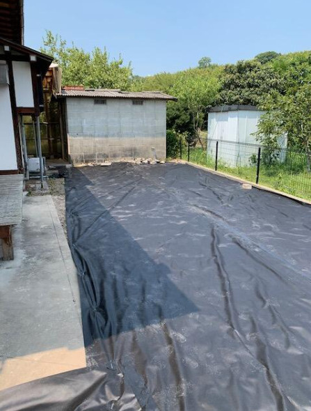 庭