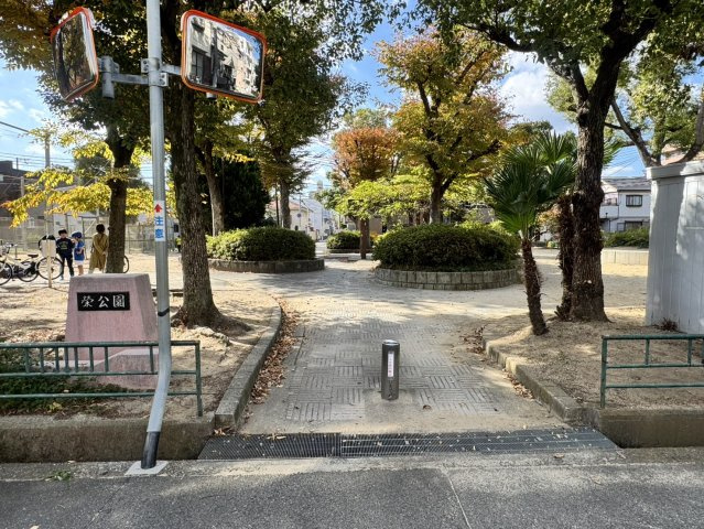 榮公園　約15ｍ