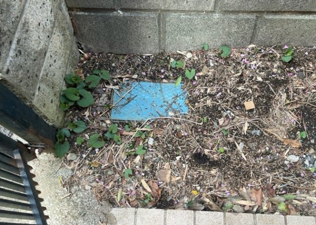 敷地内に散水栓や立水栓があると便利です。水道水を直接利用できるため、水を運ぶ手間を省くことが出来ます。大量の水を必要とする洗車作業や清掃などに役立ちます。その他設備とあわせて、現地でご確認ください。