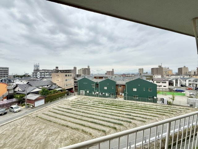 展望