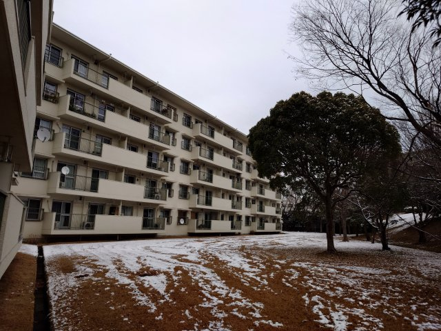 外観：314002638284