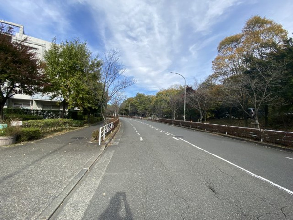 【レーベンスガルテン長池Ⅱのその他】