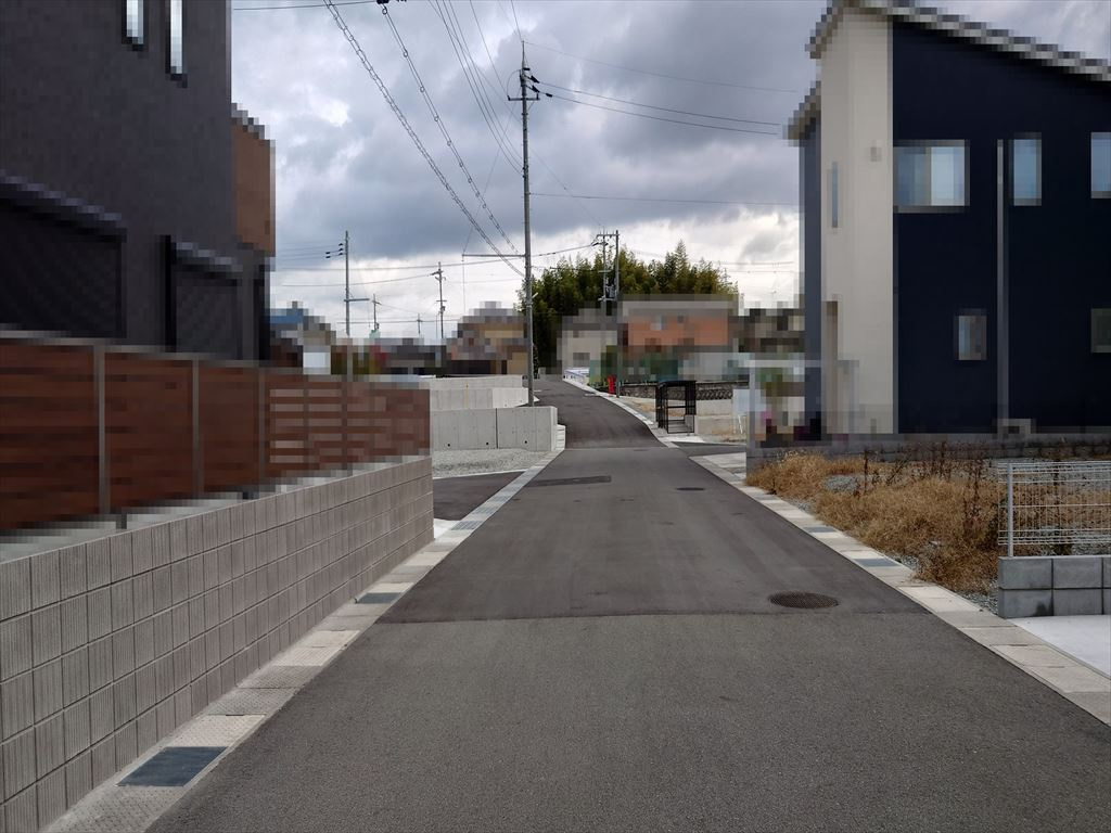 前面道路含む現地写真