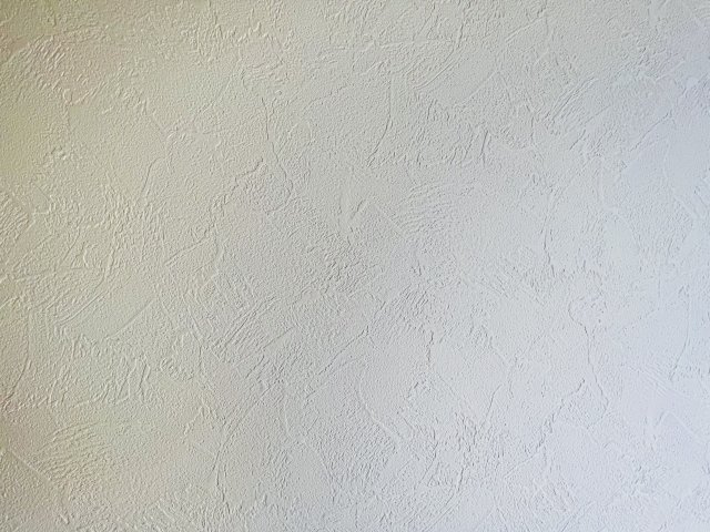 壁を撮影しました！　