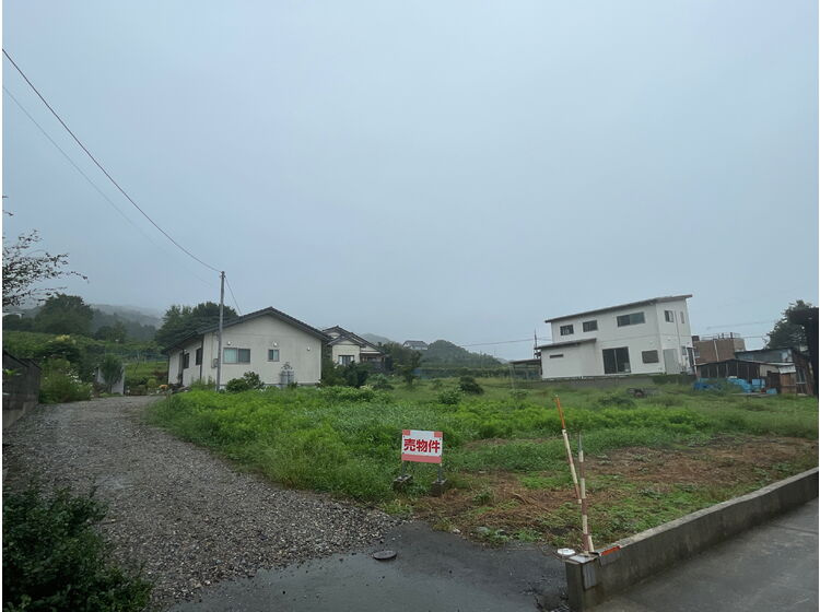 外観：316000012823